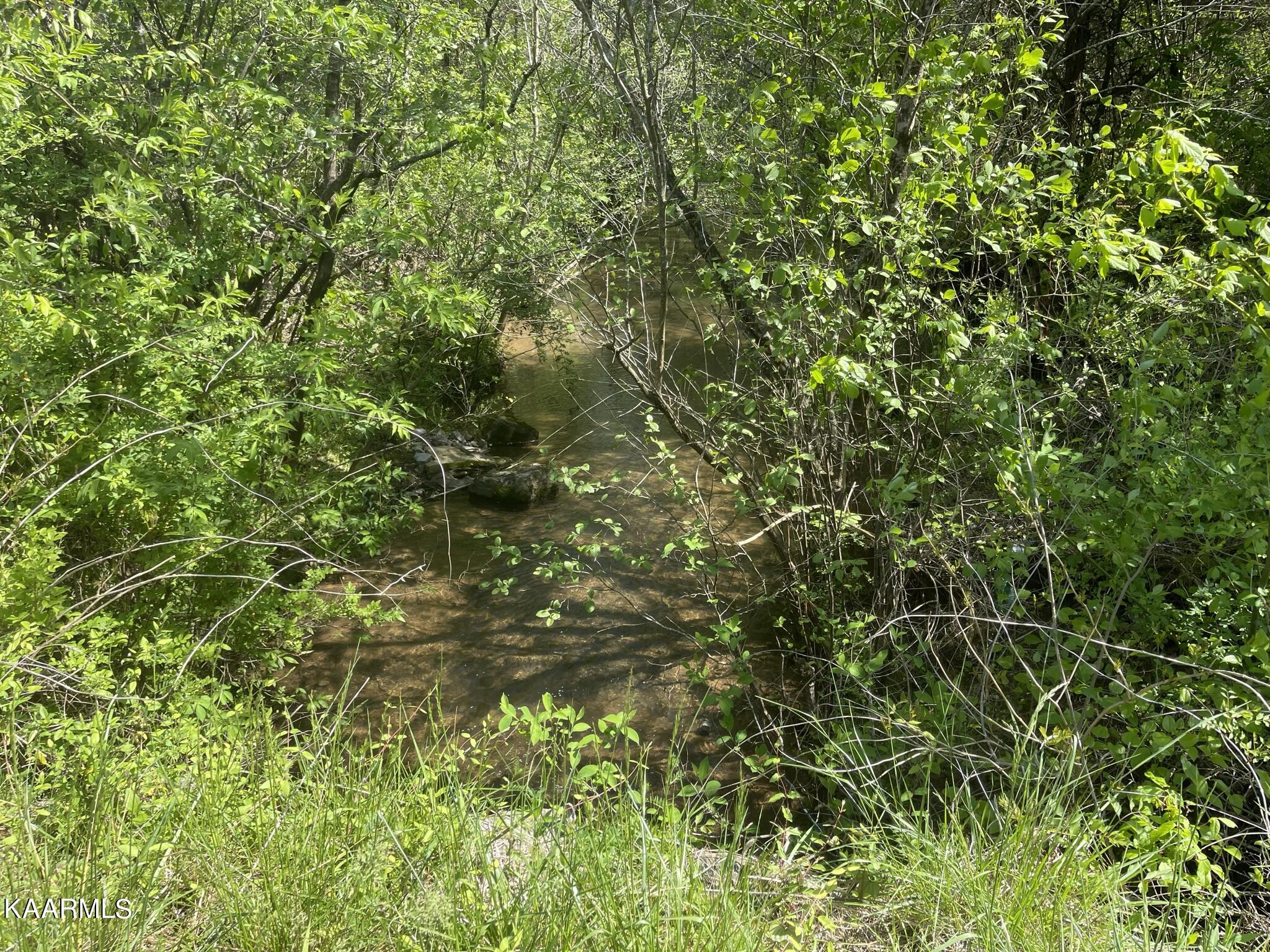 1.43-acre Mt Harmony Road Tellico Plains, TN 37385 - Photo 29 of 37 AD2E640F-EB79-41B6-BE96-2A15646AD40E