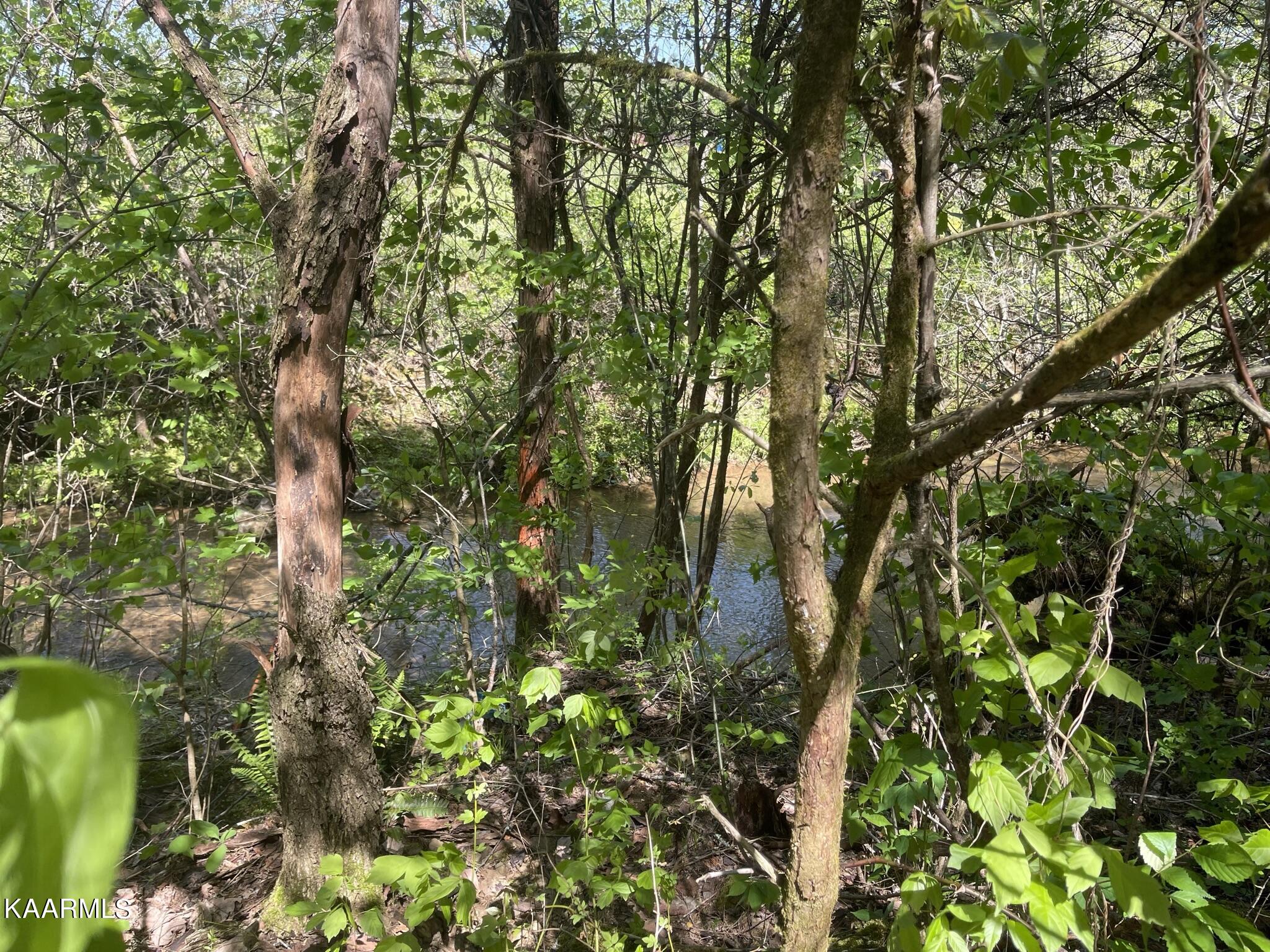 1.43-acre Mt Harmony Road Tellico Plains, TN 37385 - Photo 30 of 37 74F0809B-6B50-412A-A347-51A764BE9183