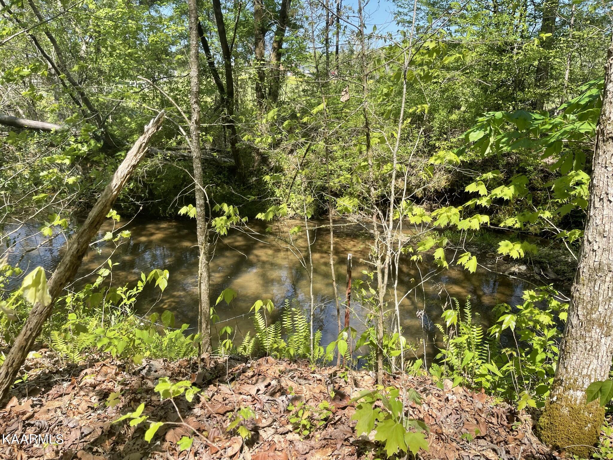 1.43-acre Mt Harmony Road Tellico Plains, TN 37385 - Photo 3 of 37 265FEA63-B772-47D8-AA47-6602BCEA1772