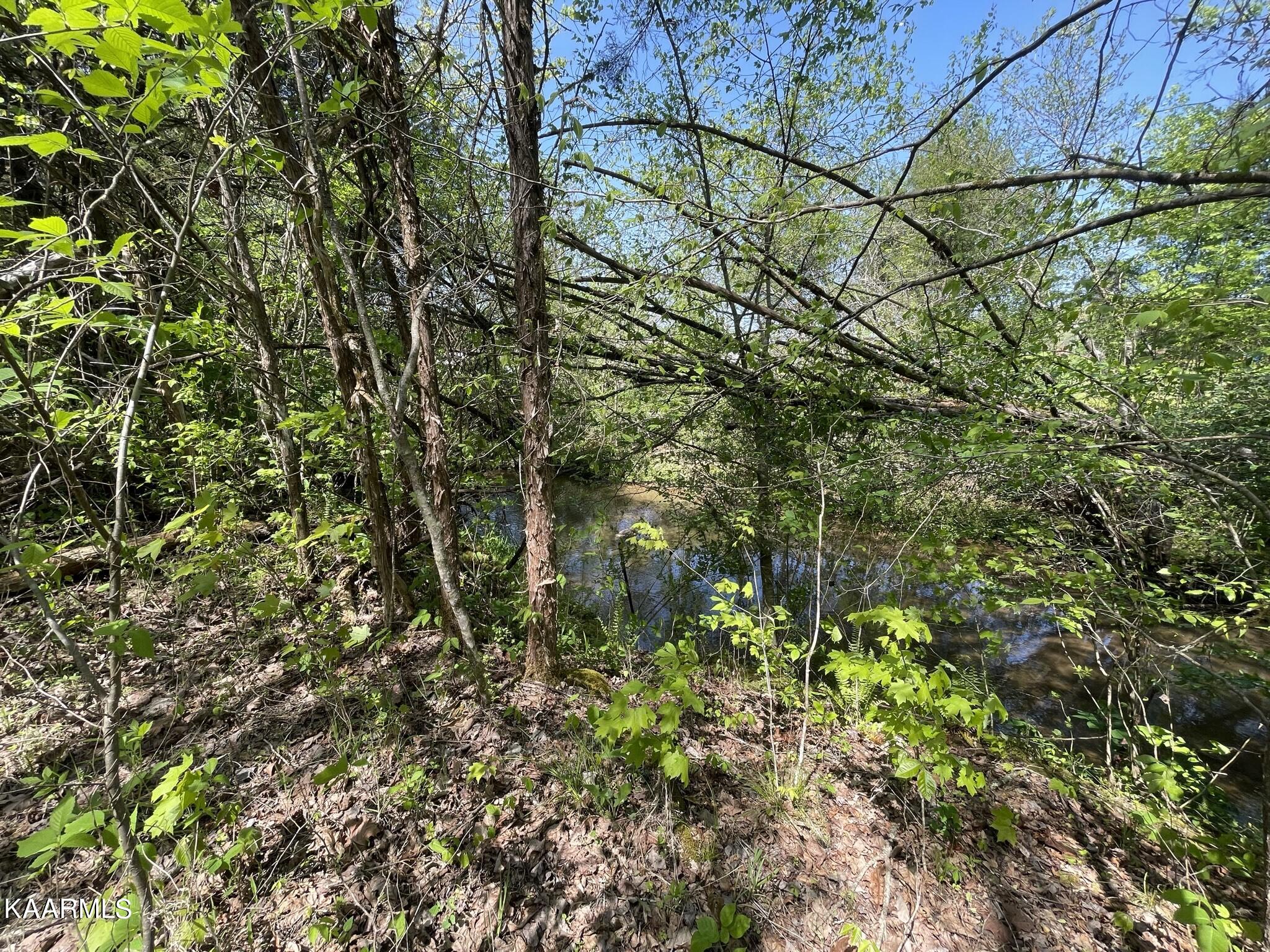 1.43-acre Mt Harmony Road Tellico Plains, TN 37385 - Photo 33 of 37 4FE31503-FBA4-480E-8774-84C48E1A9A80