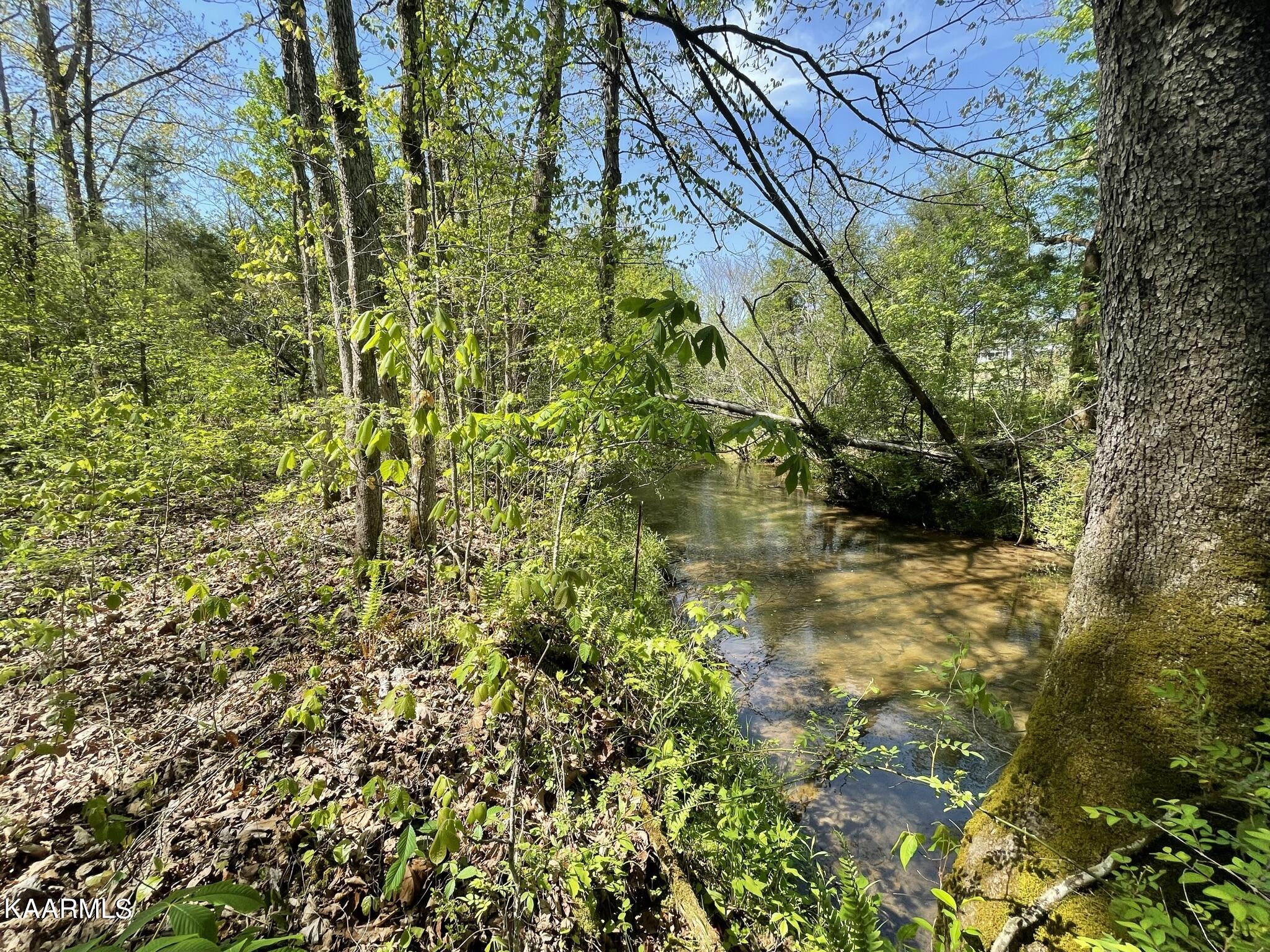 1.43-acre Mt Harmony Road Tellico Plains, TN 37385 - Photo 37 of 37 390AB609-E14C-4F2B-A304-40B0C1796956