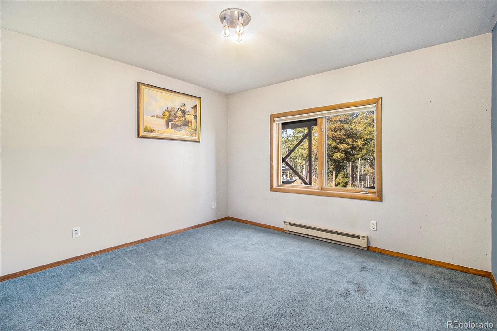 7784 Swaps Trail Evergreen, CO 80439 - Photo 21 of 35