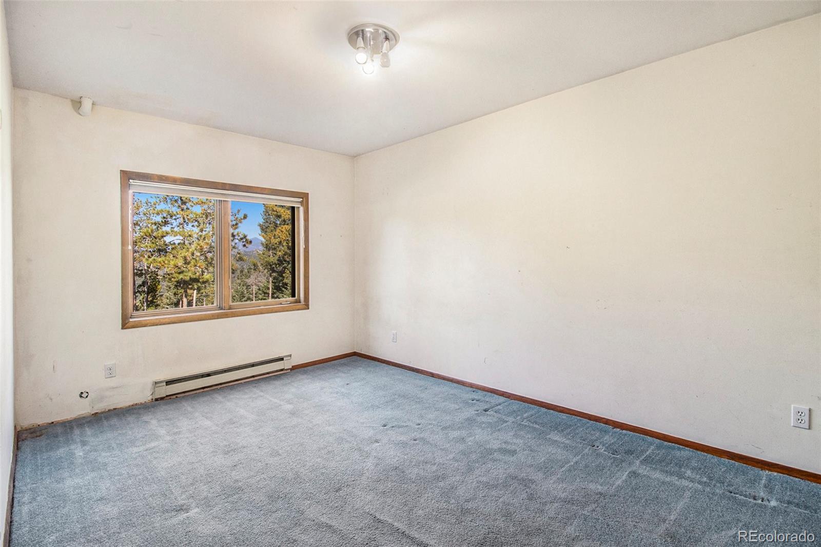 7784 Swaps Trail Evergreen, CO 80439 - Photo 22 of 35