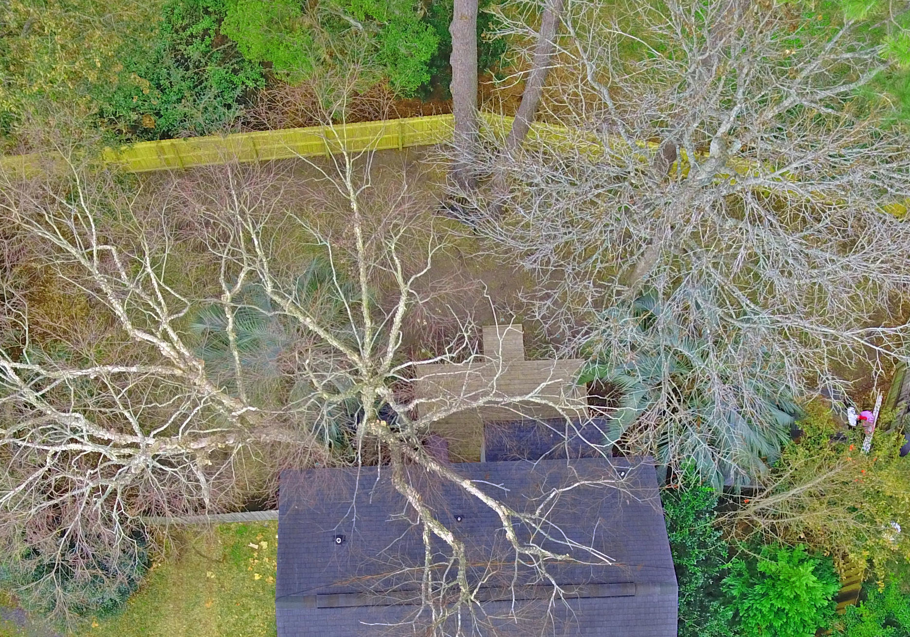 1403 School House Road Mount Pleasant, SC 29464 - Photo 20 of 24 Aerial 1 copy