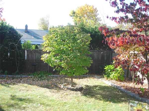 22 Santa Barbara Street Springfield, MA 01104 - Photo 22 of 23 a backyard of a house with lots of green space