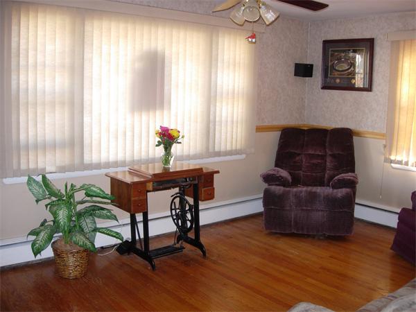22 Santa Barbara Street Springfield, MA 01104 - Photo 10 of 23 a living room with furniture and a potted plant