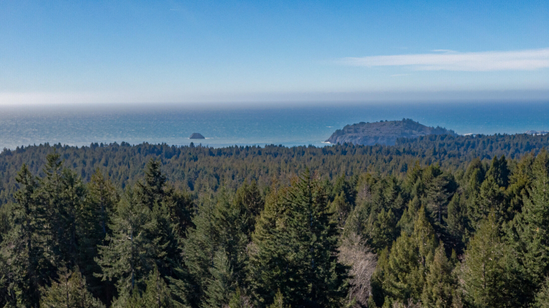 1180 Fox Farm Road Trinidad, CA 95570 - Photo 6 of 36