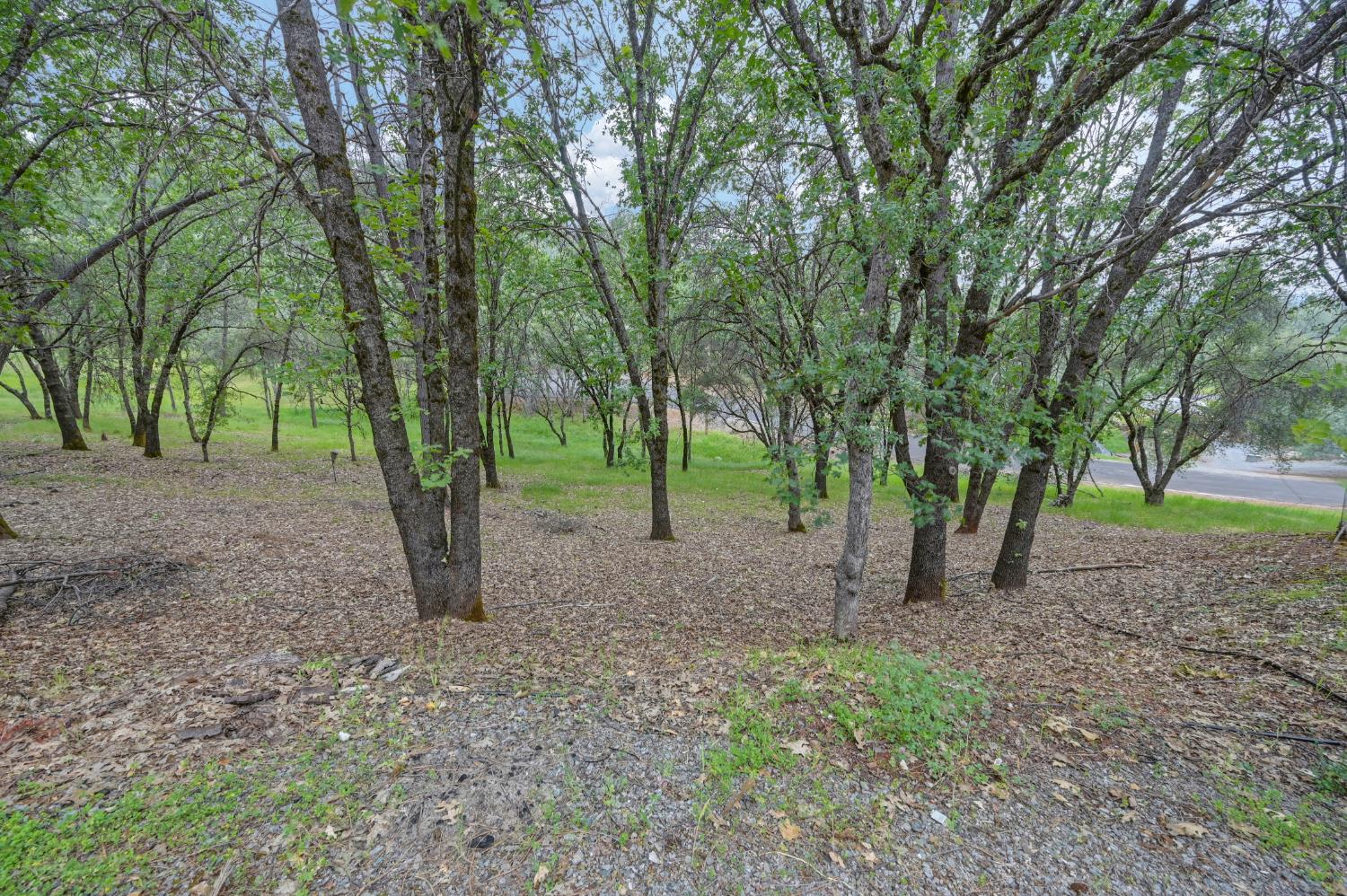 2101 Secret Diggin Court Cool, CA 95614 - Photo 3 of 50