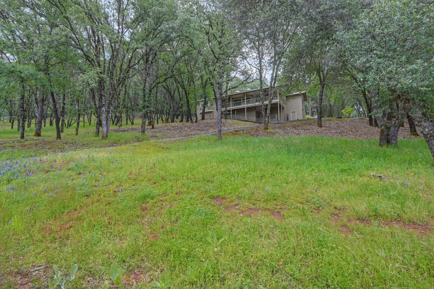 2101 Secret Diggin Court Cool, CA 95614 - Photo 4 of 50