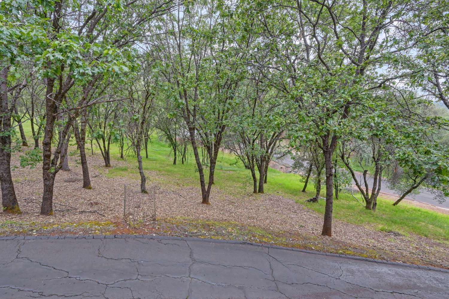 2101 Secret Diggin Court Cool, CA 95614 - Photo 45 of 50