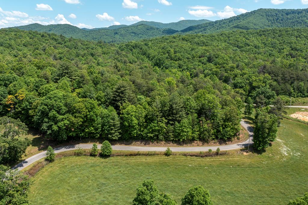 4.2-acre Donley Road Murphy, NC 28906 - Photo 6 of 32 a view of an outdoor space and a yard
