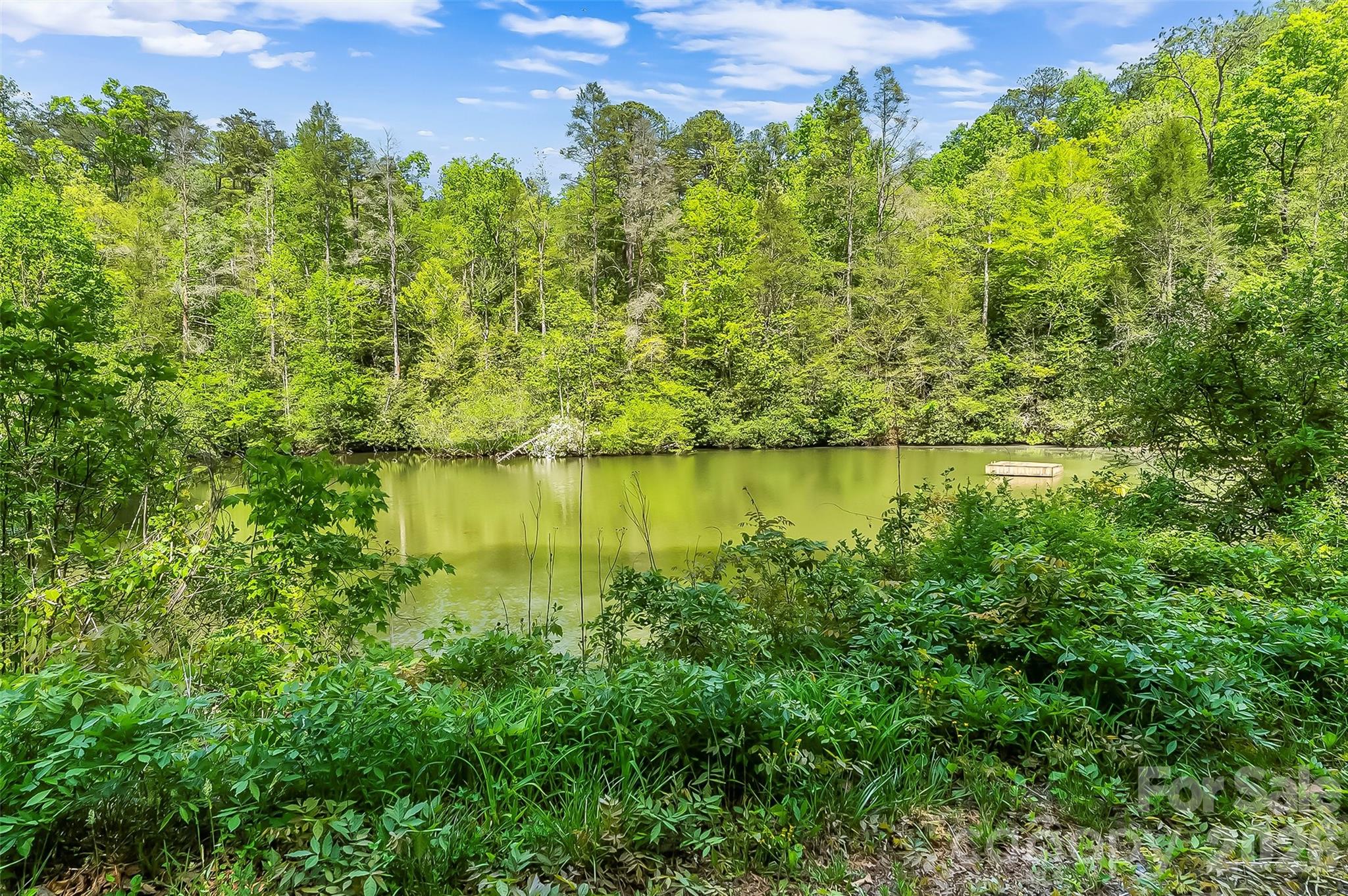 586 Liberty Church Road Marion, NC 28752 - Photo 30 of 48 Gallery Image 30