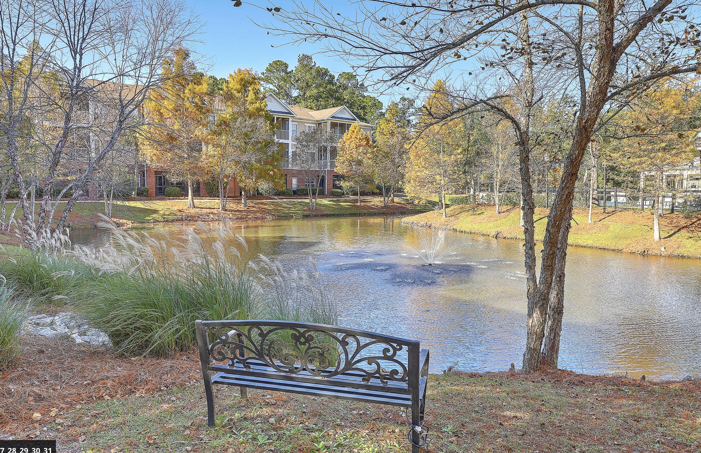 1101 Basildon Road Mount Pleasant, SC 29466 - Photo 45 of 45 Pond