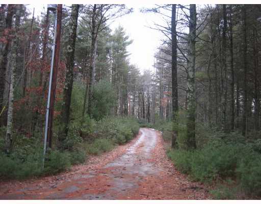 86 Hopkins Hill Road Exeter, RI 02822 - Photo 2 of 12 Land. Private drive way lined with pines and mountain laurel