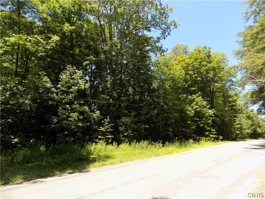 7760 Ny Route 79 Road Whitney Point, NY 13862 - Photo 6 of 23
