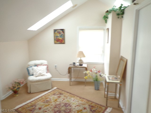 4238 Stilmore Road Cleveland, OH 44121 - Photo 10 of 18