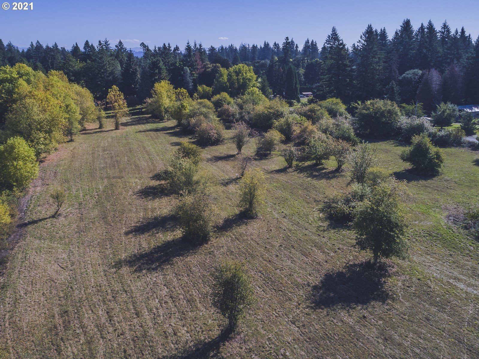 0 Northeast Hathaway Road, Unit 2) Camas, WA 98607 - Photo 4 of 9