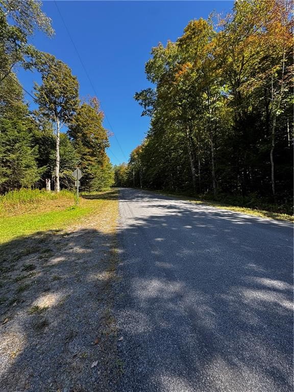 185 Kaine Road Altmar, NY 13302 - Photo 7 of 17 Gallery Image 7
