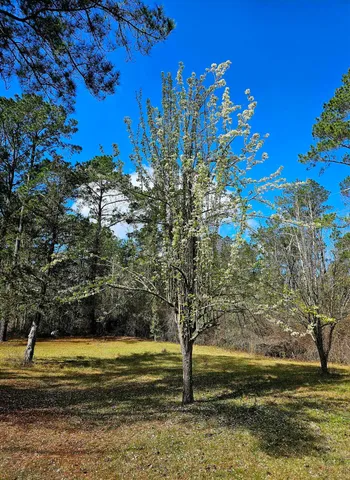 $220,000 | 238 Winding Creek Lane, Quincy, FL 32351