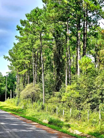 $220,000 | 238 Winding Creek Lane, Quincy, FL 32351