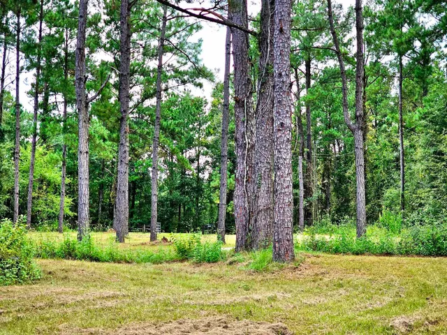 $220,000 | 238 Winding Creek Lane, Quincy, FL 32351