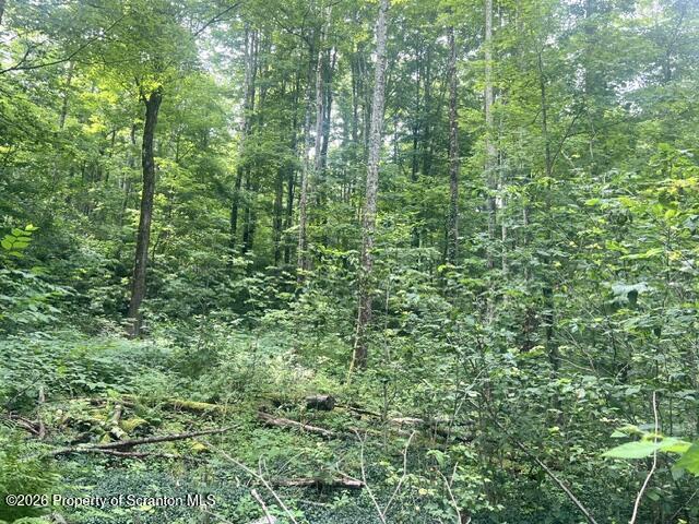 840 Maplewood Road Lake Ariel, PA 18436 - Photo 6 of 10 a view of a lush green forest