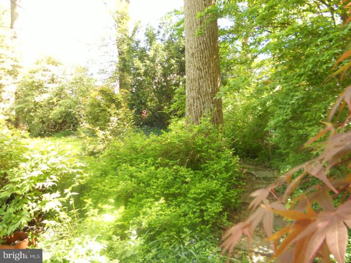318 Valley Brook Road Ambler, PA 19002 - Photo 15 of 15 Exterior Back
