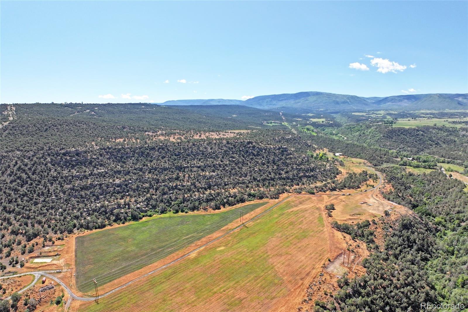 5402 Ke2 Road Collbran, CO 81624 - Photo 13 of 21