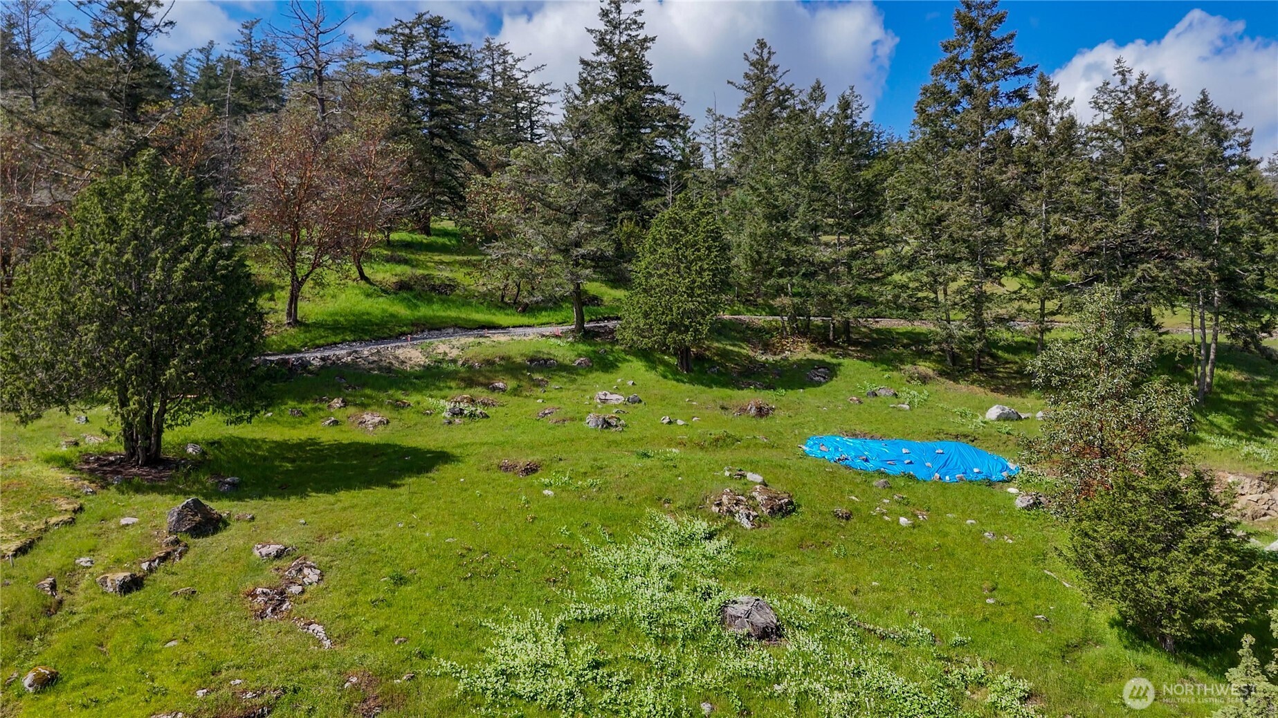 1024 Deer Harbor Road Orcas Island, WA 98245 - Photo 10 of 12