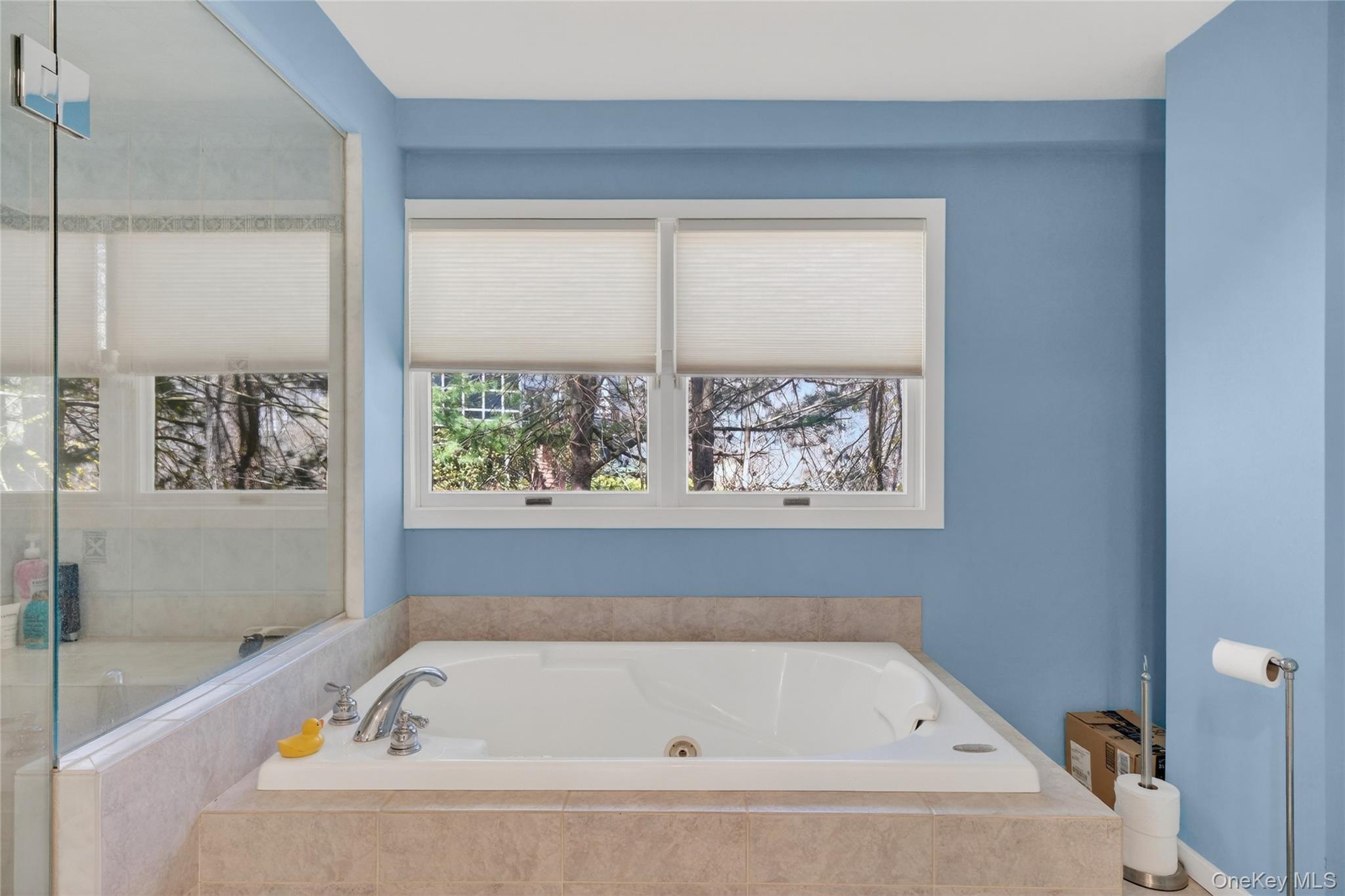 3 Lakeside Road Mahopac, NY 10541 - Photo 31 of 49 Notice the whirlpool tub and walk-in shower in the primary bathroom.