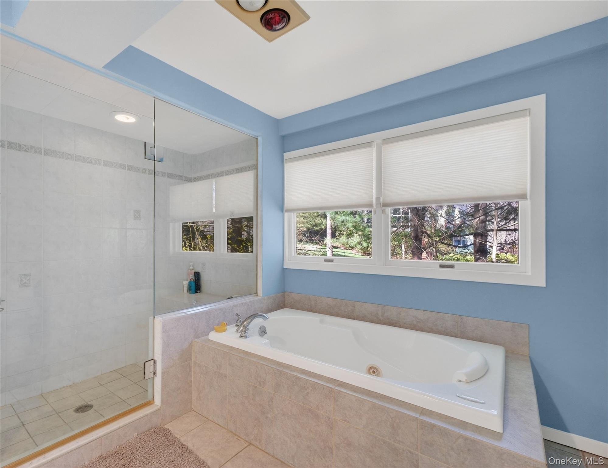 3 Lakeside Road Mahopac, NY 10541 - Photo 33 of 49 Another view of the tub and shower.