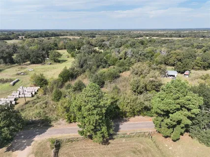 a view of a yard with plants