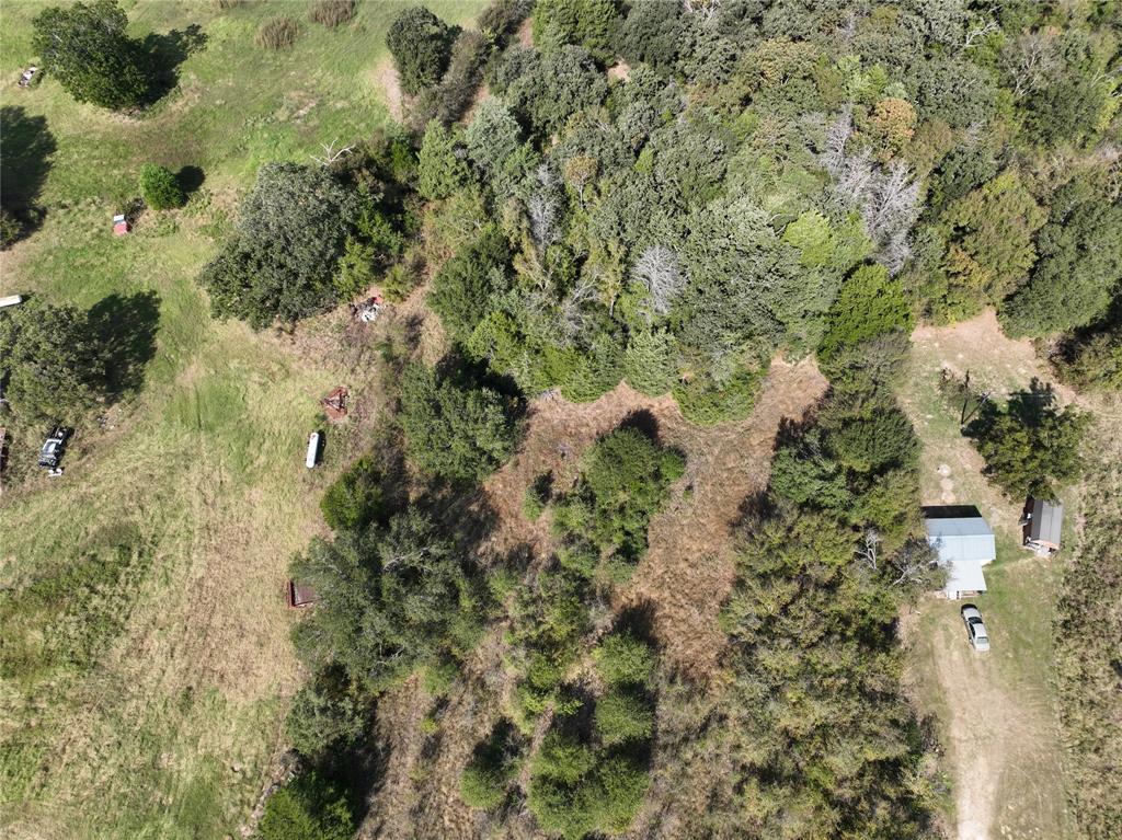 9 Acres County Rd 471 Teague, TX 75860 - Photo 16 of 26 a view of a yard with plants