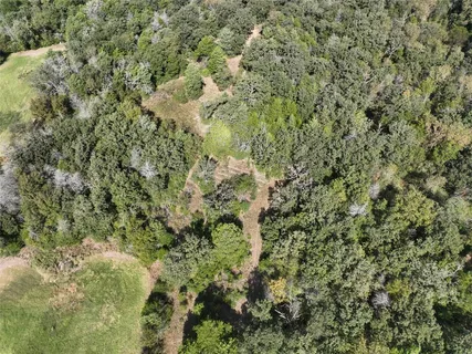 a view of a yard of a building