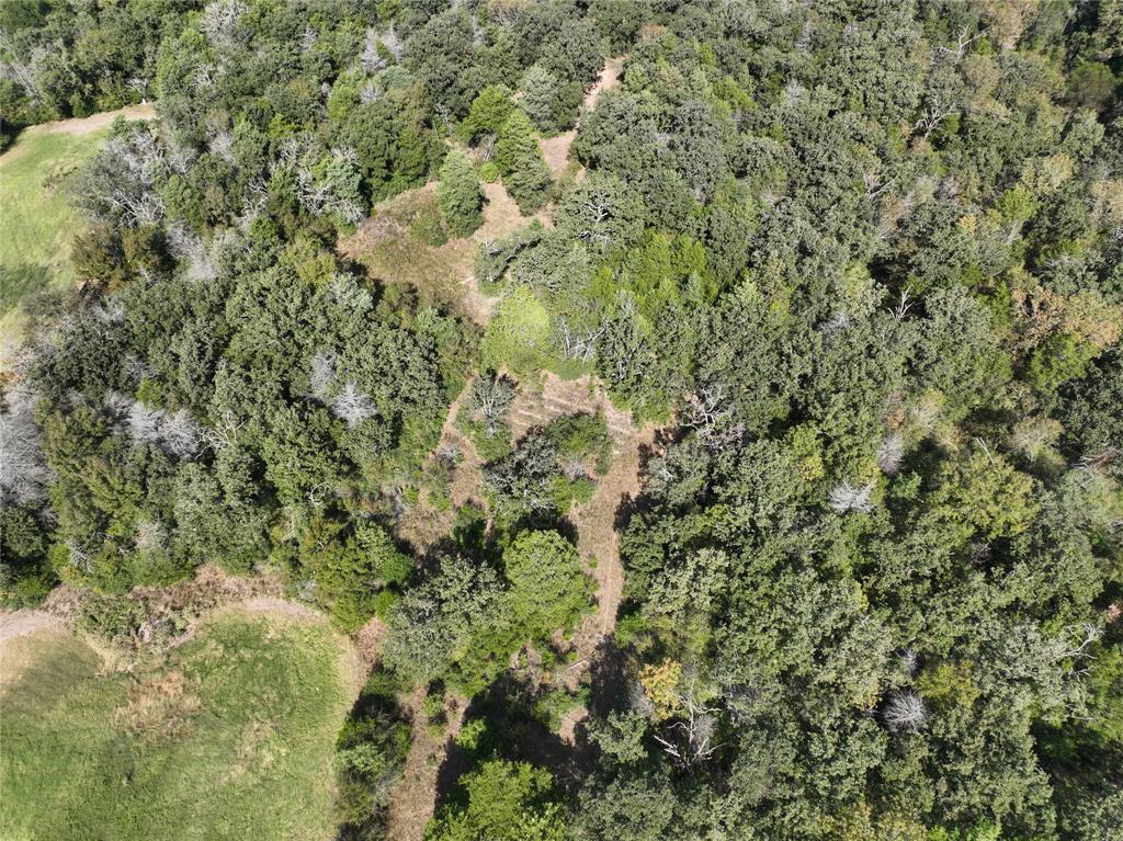 9 Acres County Rd 471 Teague, TX 75860 - Photo 17 of 26 a view of a yard