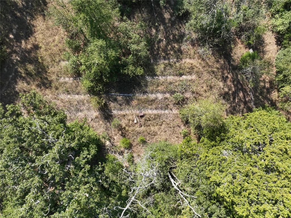 9 Acres County Rd 471 Teague, TX 75860 - Photo 21 of 26 a view of a forest with a tree