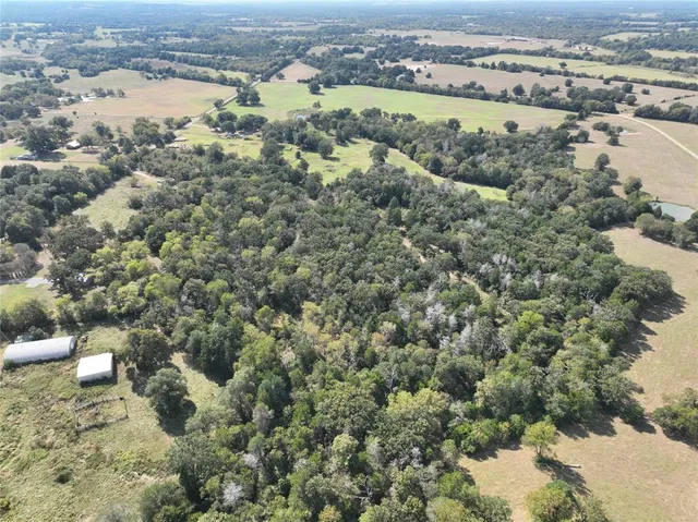 an aerial view of residential houses with outdoor space and trees