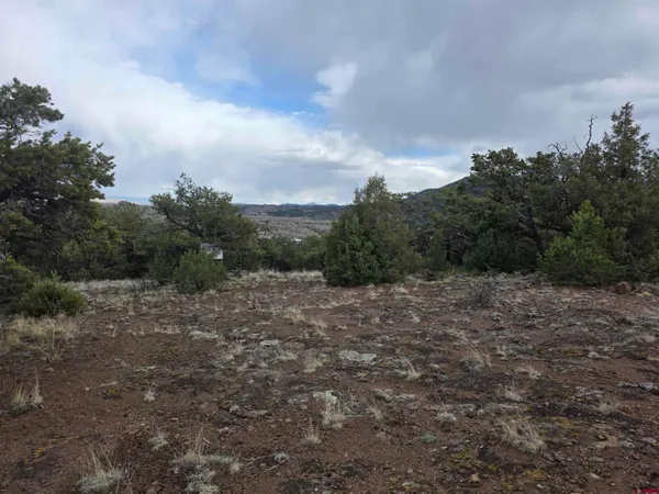 $35,000 | 326 Pikes Peak Road, South Fork, CO 81154