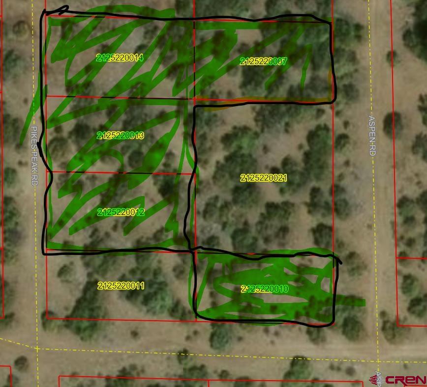 326 Pikes Peak Road South Fork, CO 81154 - Photo 11 of 11 an aerial view of a garden