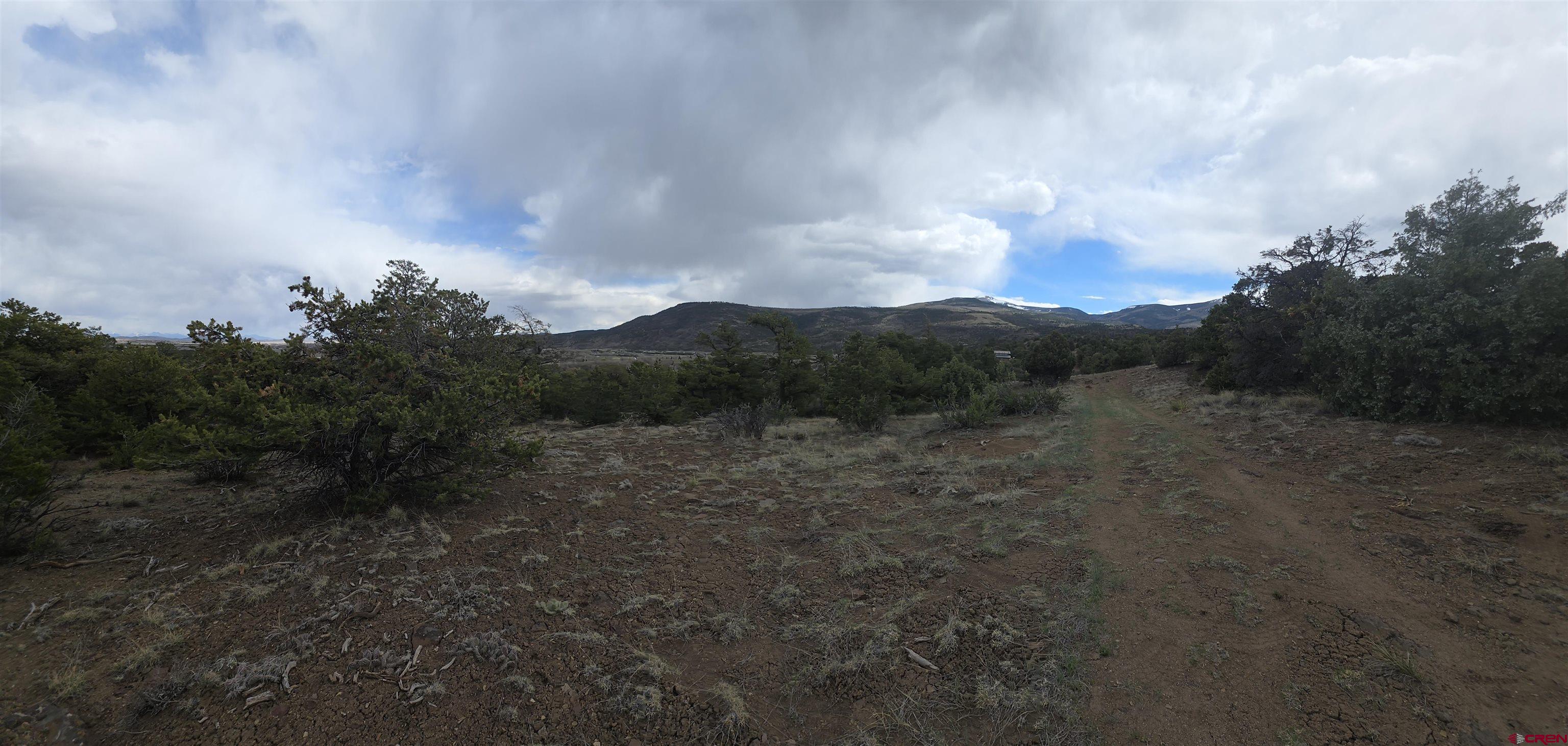 326 Pikes Peak Road South Fork, CO 81154 - Photo 4 of 11 a view of a big yard with lots of green space
