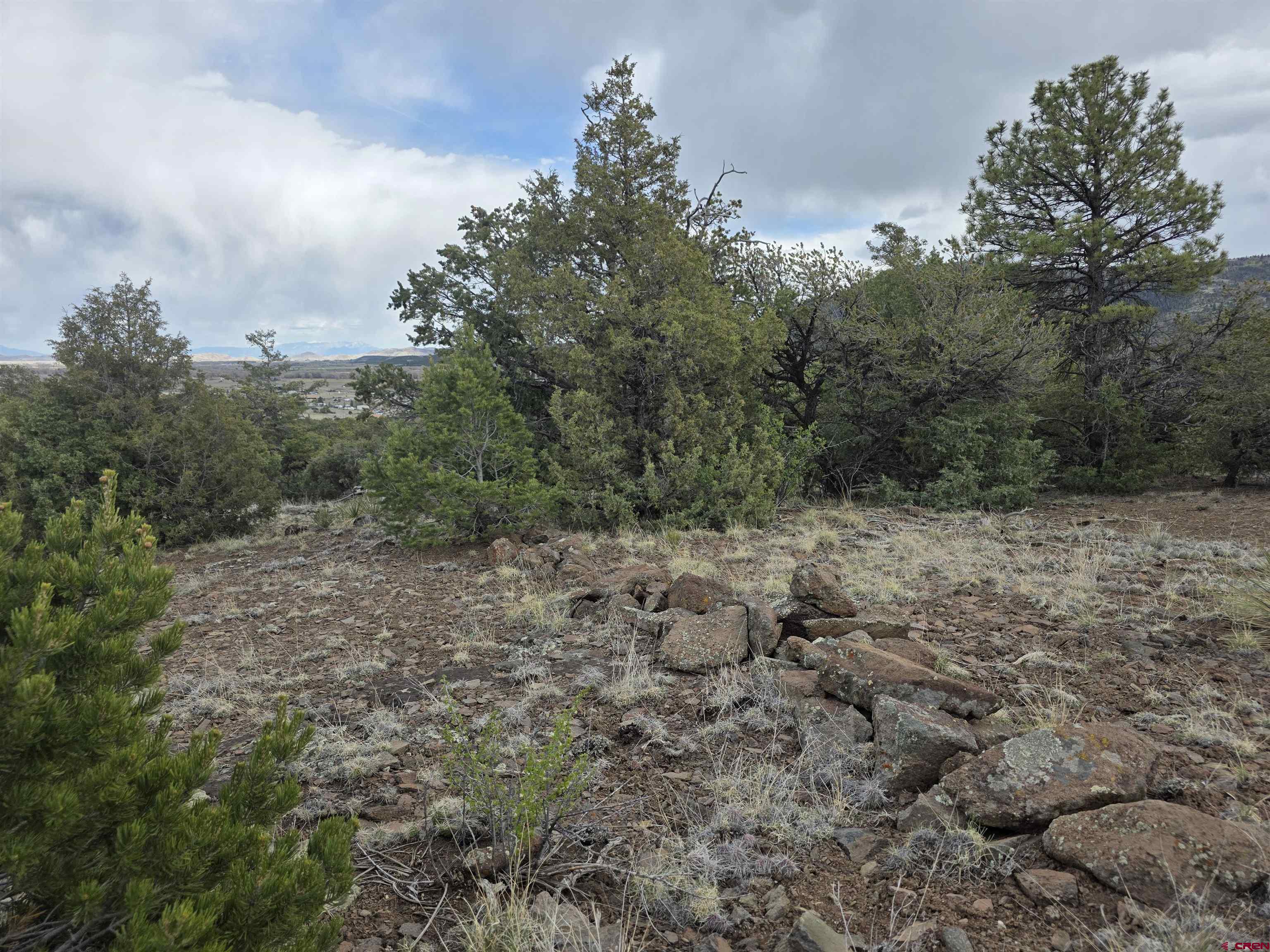 326 Pikes Peak Road South Fork, CO 81154 - Photo 5 of 11 a view of a yard with a tree