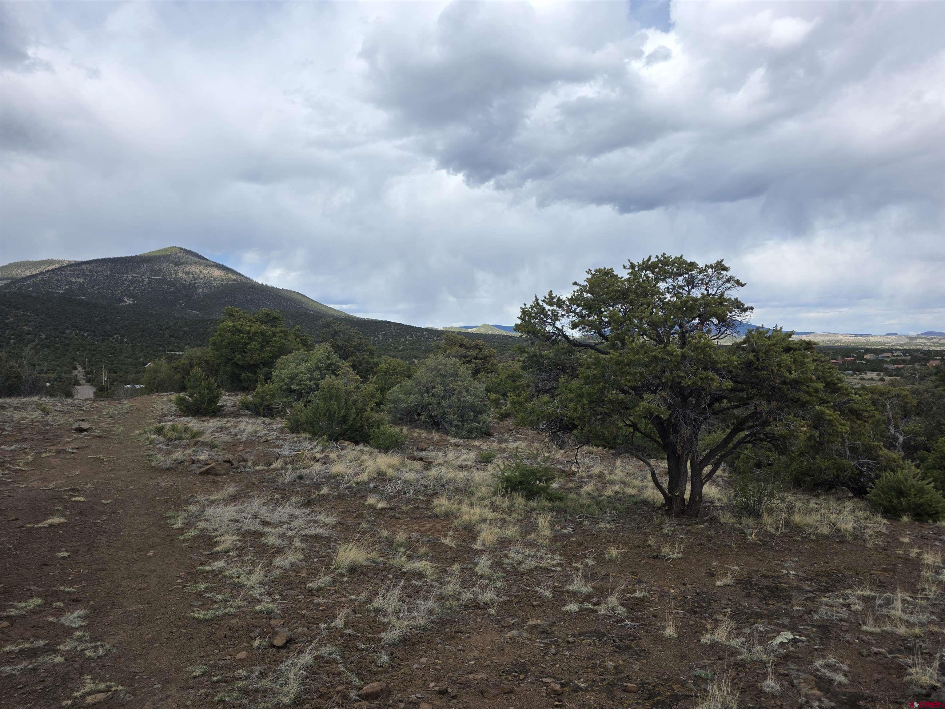 326 Pikes Peak Road South Fork, CO 81154 - Photo 6 of 11 a view of a outdoor space with mountain