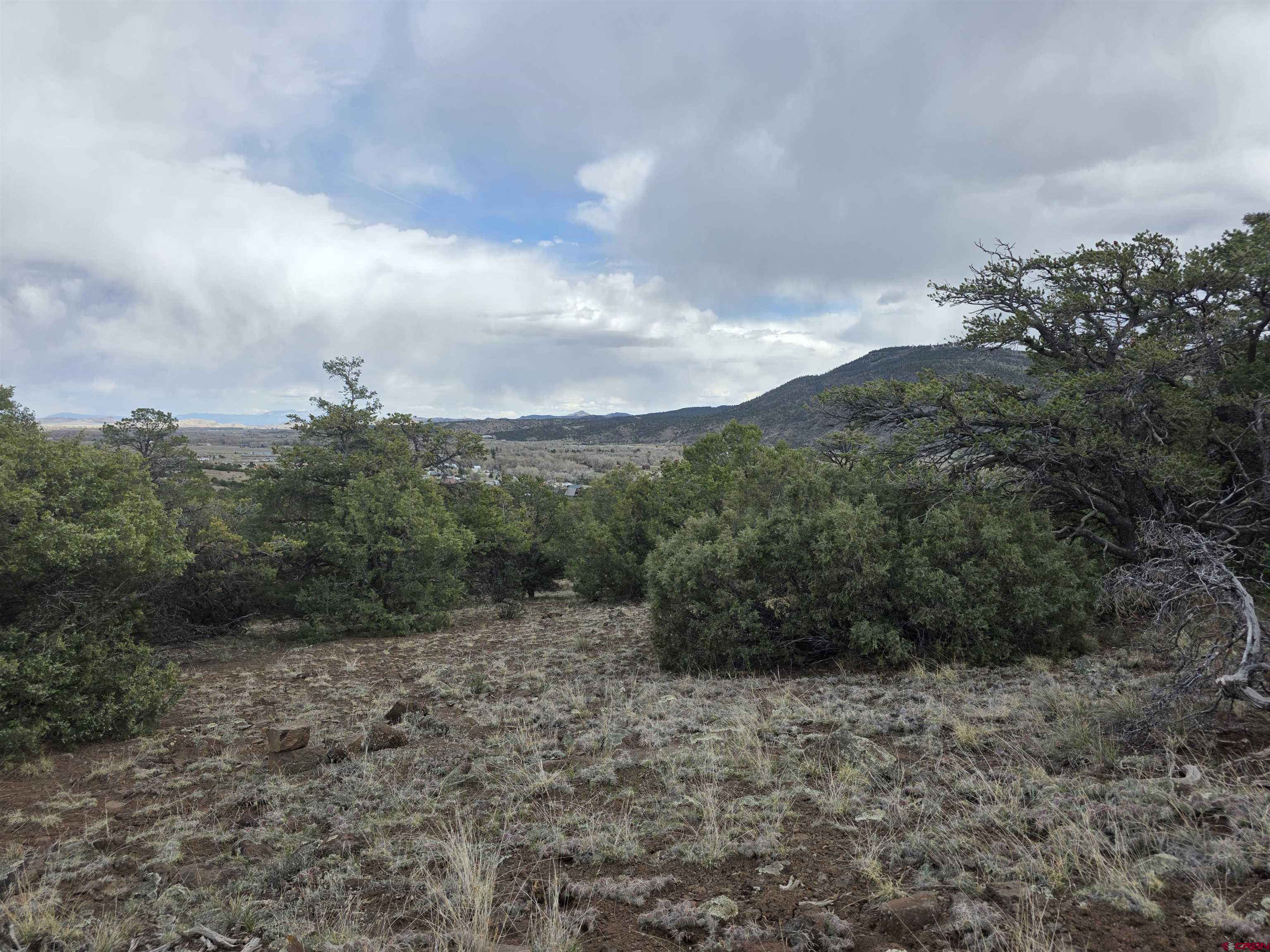326 Pikes Peak Road South Fork, CO 81154 - Photo 7 of 11 a view of a yard