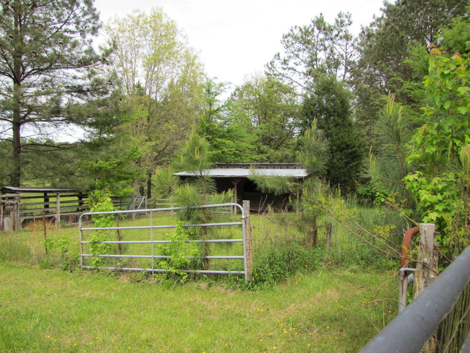 369 Virgil Rymer Road Northeast Cleveland, TN 37323 - Photo 17 of 40 IMG_5209