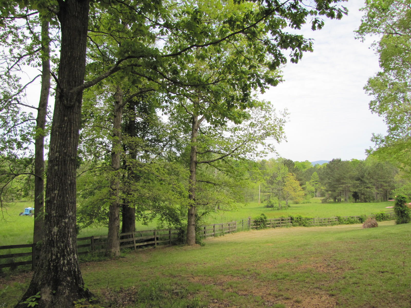 369 Virgil Rymer Road Northeast Cleveland, TN 37323 - Photo 22 of 40 IMG_5179