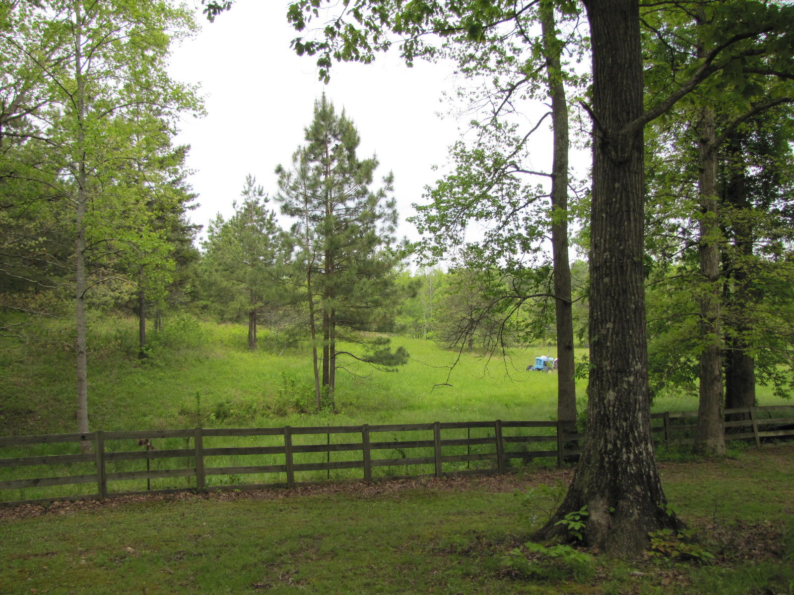 369 Virgil Rymer Road Northeast Cleveland, TN 37323 - Photo 23 of 40 IMG_5180