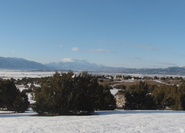 13800 North 6245th East, Unit 4 Spring City, UT 84662 - Photo 5 of 7 Mountain view