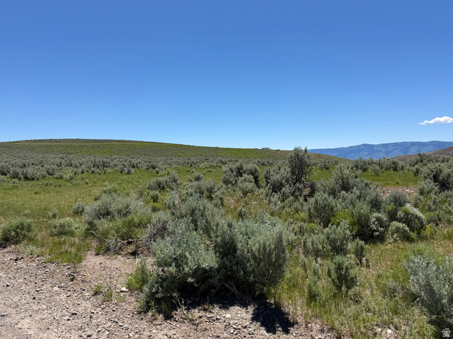 Mud Springs St. Charles, ID 83272 - Photo 21 of 29