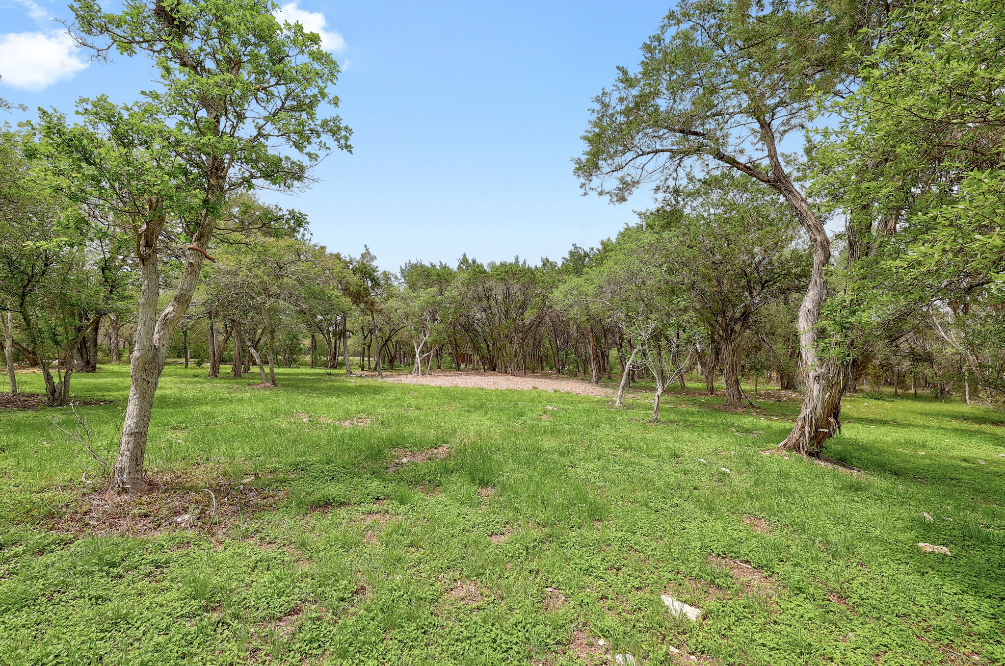 1700 Patterson Road Austin, TX 78733 - Photo 31 of 36 Back of the property with mature trees and native plants