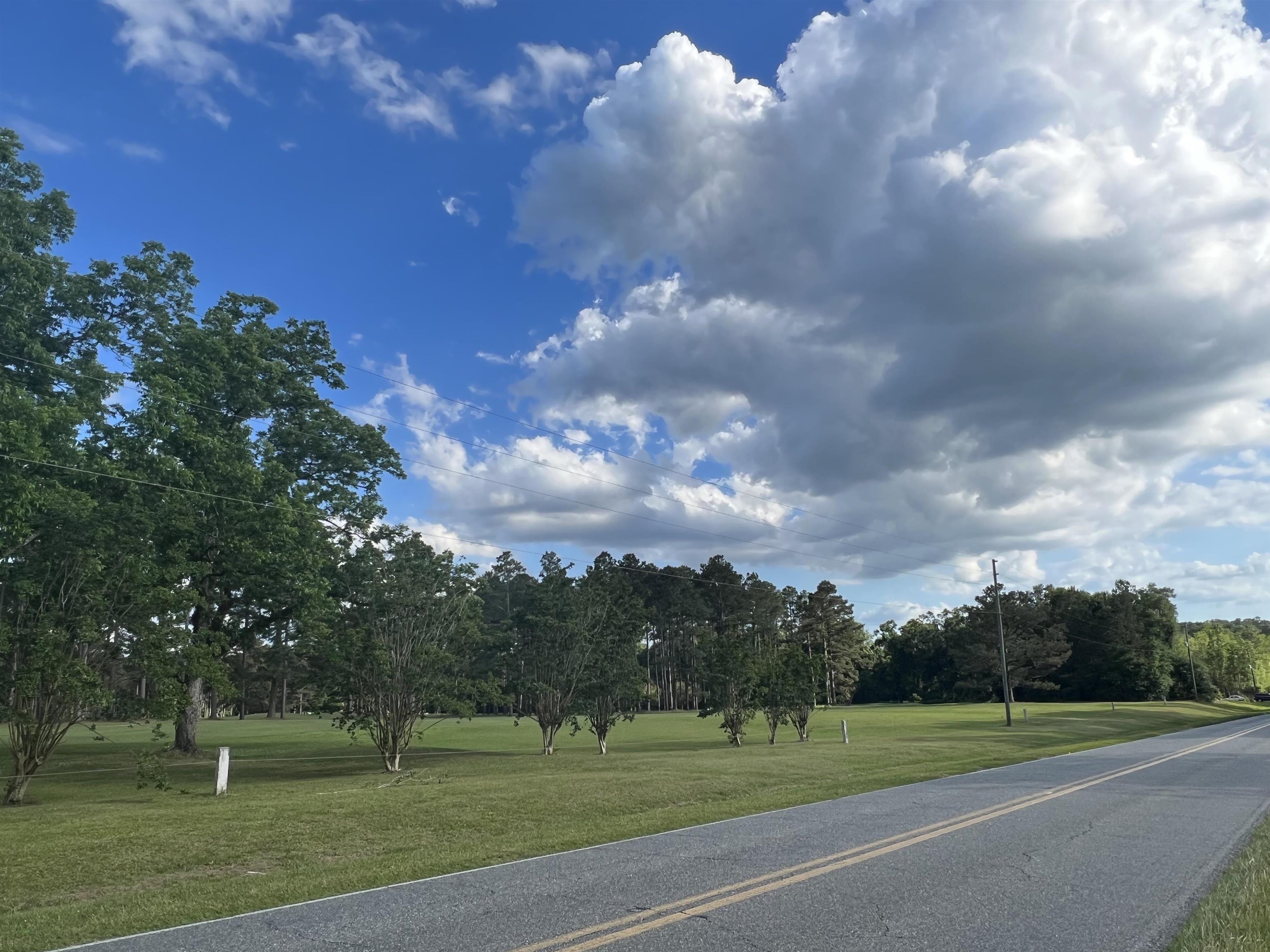 Xxx Devane Road Monticello, FL 32344 - Photo 11 of 14